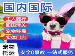 呼伦贝尔海拉尔机场邮寄国际宠物托运 【国